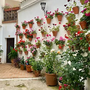 Amal Casa De Huespedes Córdova